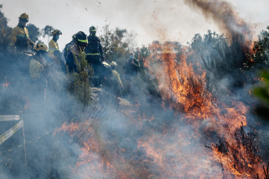  PJ deteve suspeito de atear três fogos em Lamego - Jornal do Centro