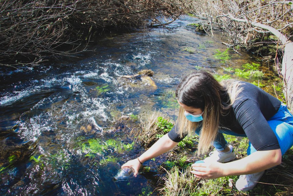  Castro Daire: alunos avaliam águas do rio Paiva - Jornal do Centro