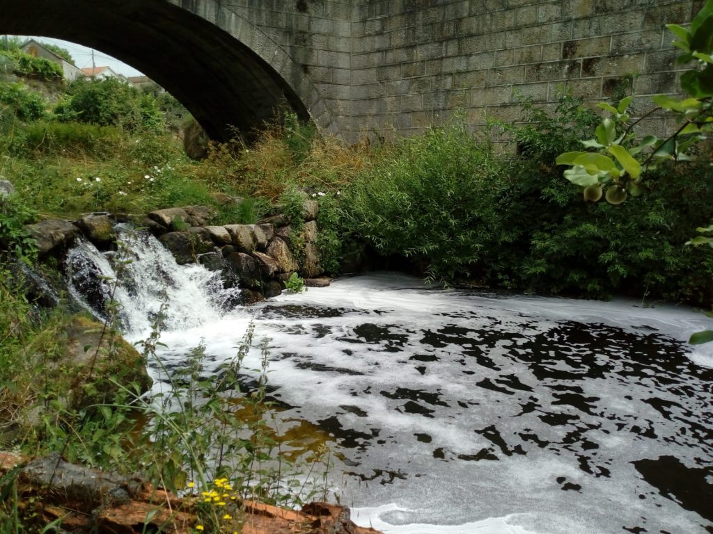  Portugal deve resolver poluição em ribeira de Carregal do Sal, diz Bloco - Jornal do Centro