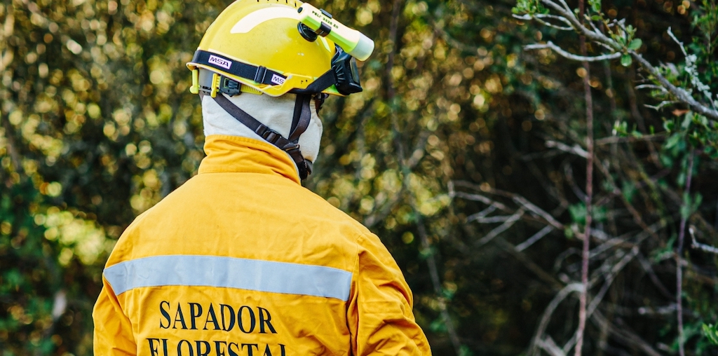  Aumentou a adesão à greve dos sapadores florestais no distrito - Jornal do Centro