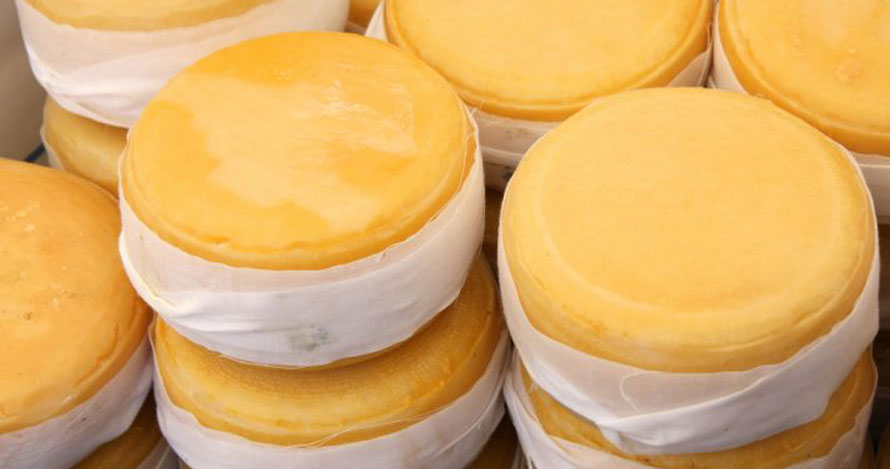  Duas empresas da região distinguidas em Concurso Nacional de Queijos - Jornal do Centro