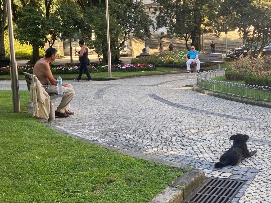  Nelas e Moimenta registaram em 2023 as temperaturas mais altas do distrito de Viseu - Jornal do Centro