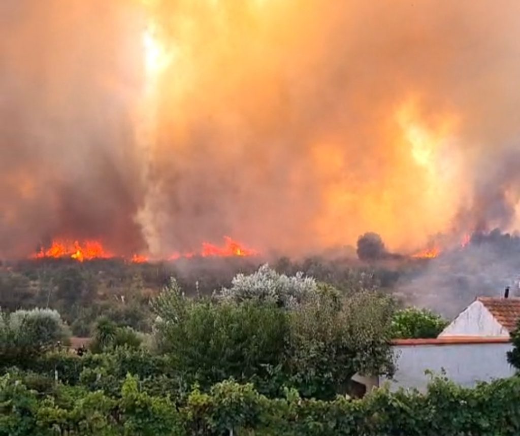  Estrada Nacional 231 cortada e chamas ainda por dominar no incêndio em Nelas - Jornal do Centro