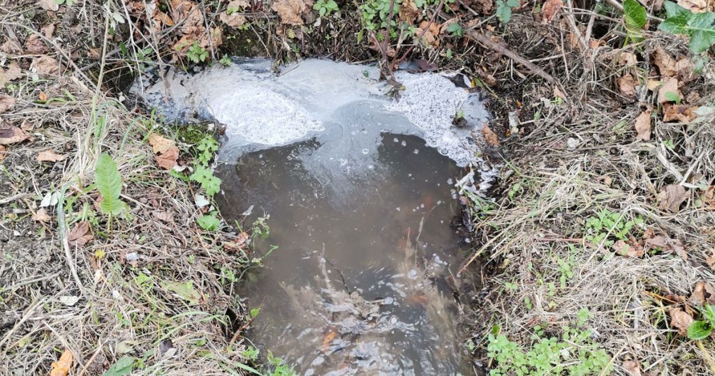  Descargas poluentes continuam na Ribeira das Hortas - Jornal do Centro