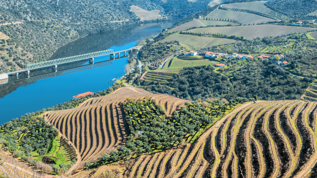  Monitorização do Douro Património Mundial feita por drone e por satélite - Jornal do Centro