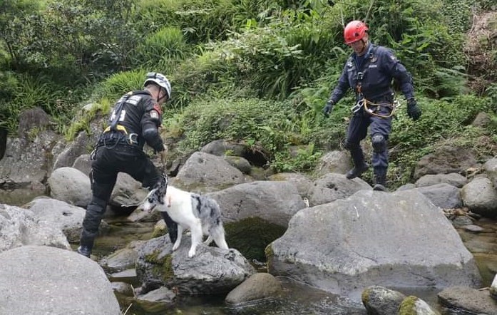  Equipa cinotécnica dos Bombeiros Voluntários de Viseu representa continente nos Açores