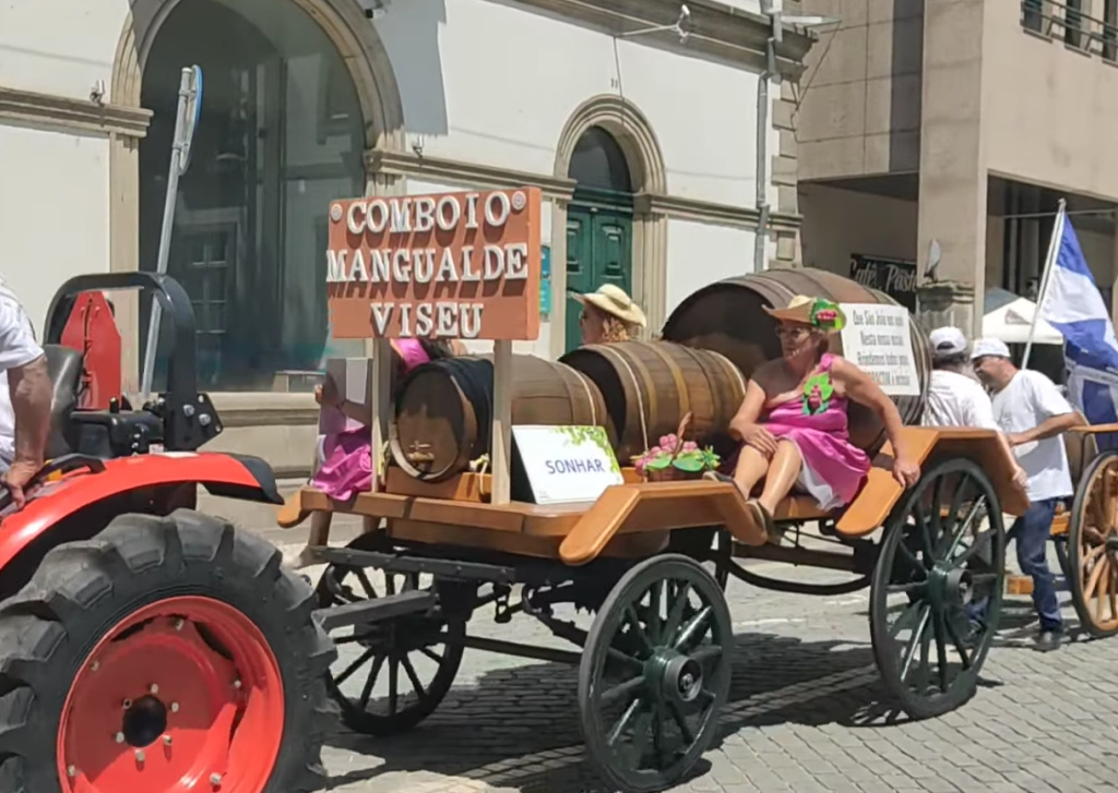  Foram as Cavalhadas de Vildemoinhos, ‘as melhores de Portugal’ - Jornal do Centro