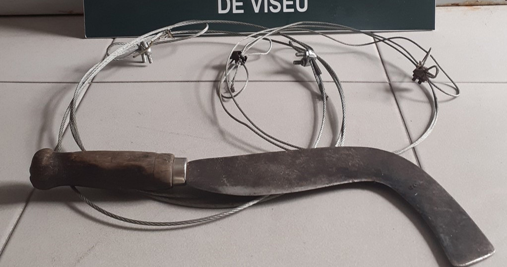  Idoso de 86 anos detido quando caçava javali com laço - Jornal do Centro