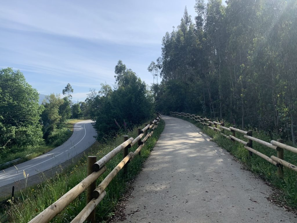  Movimento critica criação de ecopista em vez de comboio na Linha do Vouga - Jornal do Centro