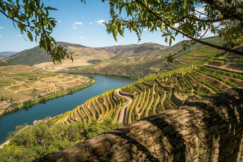  Douro Cidade Europeia do Vinho: ‘Todos juntos somos incomparavelmente mais fortes’ - Jornal do Centro