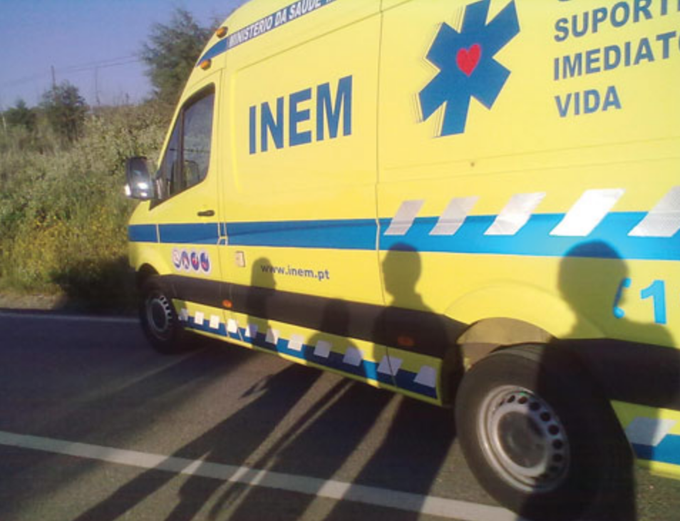  Homem encontrado morto perto de ninho de abelhas em Freixiosa (Mangualde) - Jornal do Centro