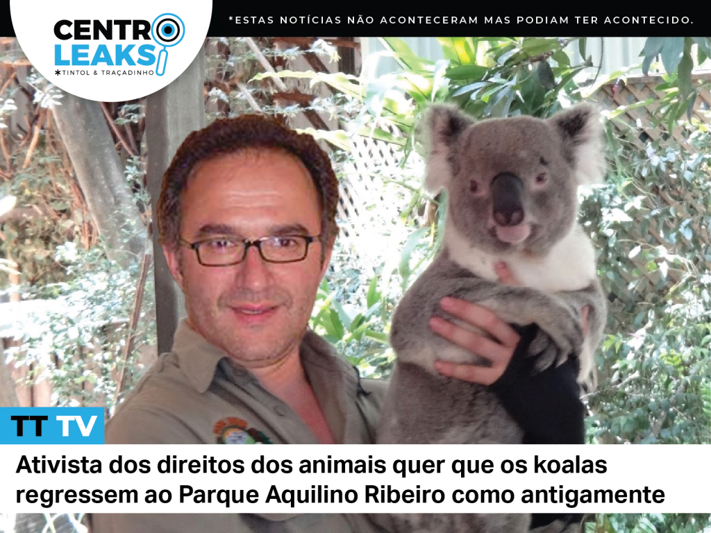  Carlos Cunha alerta para o perigo de extinção dos koalas do Parque Aquilino Ribeiro - Jornal do Centro