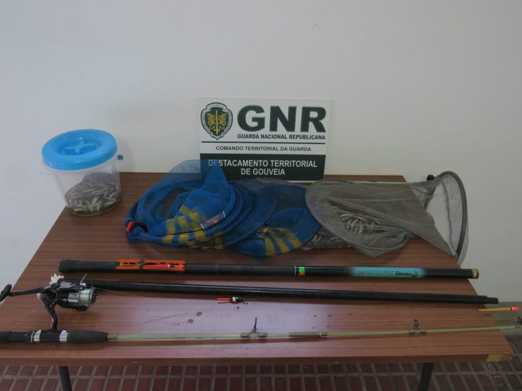  GNR apreende 1,5 quilos de ruivaco em Aguiar da Beira - Jornal do Centro