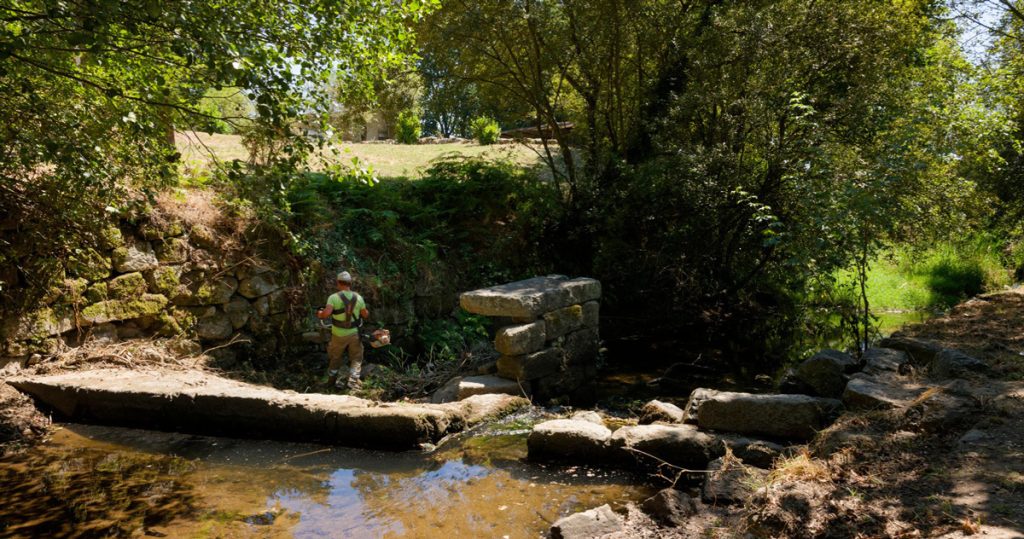  Viseu: 46 mil euros para trabalhos de limpeza no rio Pavia - Jornal do Centro