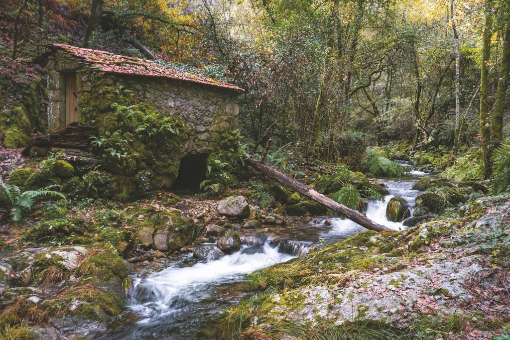  Vai um passeio pela região dos rios e do património?