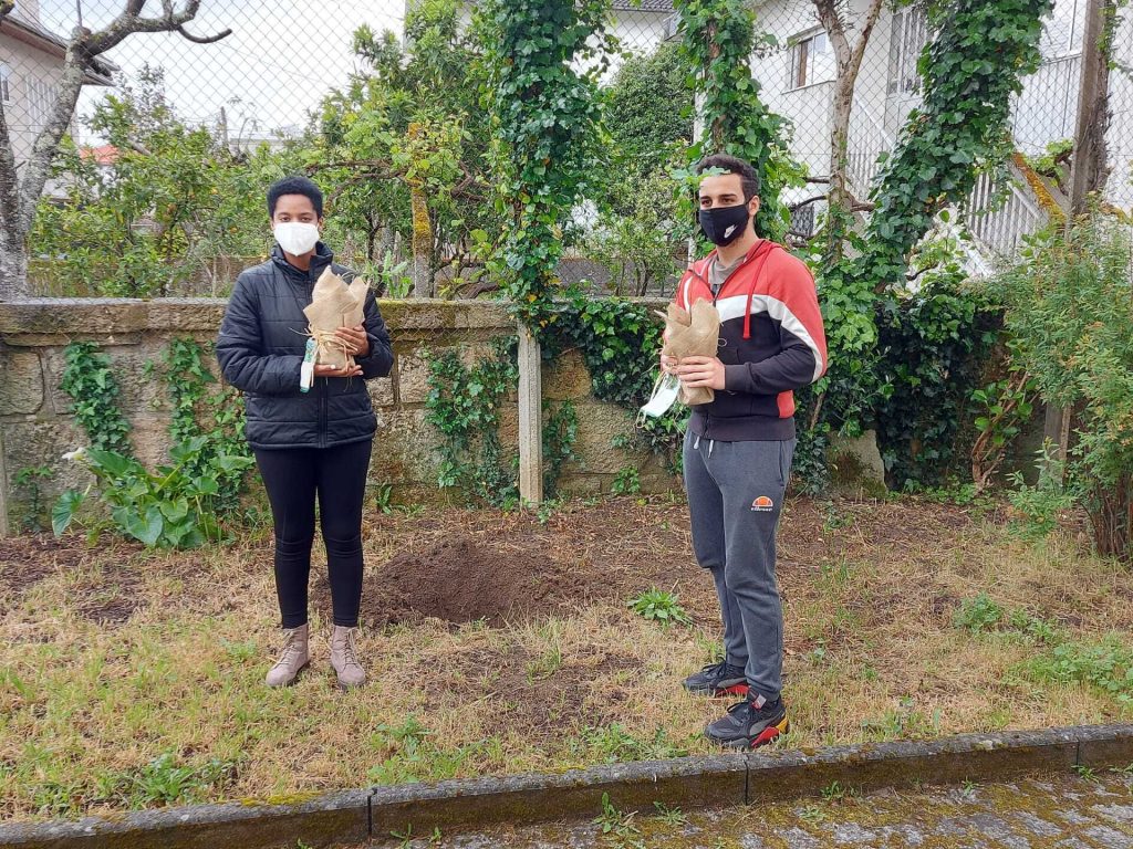  Escola profissional de Viseu repõe na natureza o que gastou em resmas de papel - Jornal do Centro