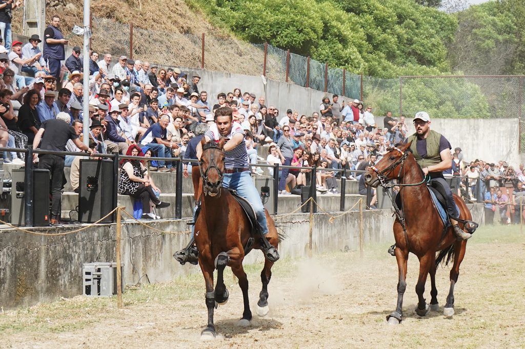 Cavalos ‘invadem’ Lamego na Festa de Santa Cruz