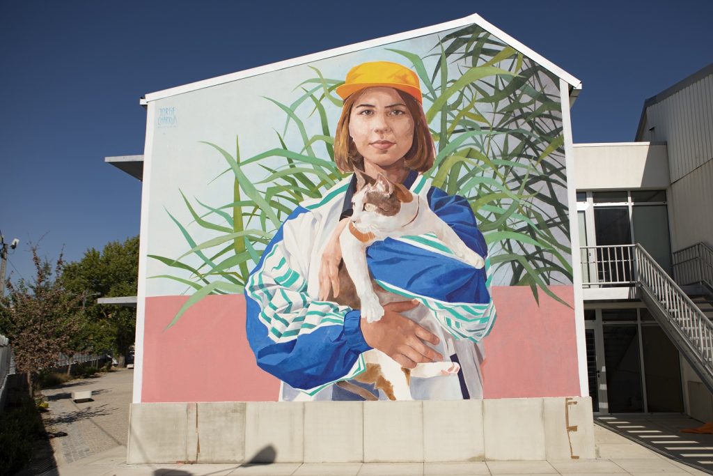  Street Art está de volta. Samuel Úria, Tilhon e Virgul confirmados no cartaz musical - Jornal do Centro