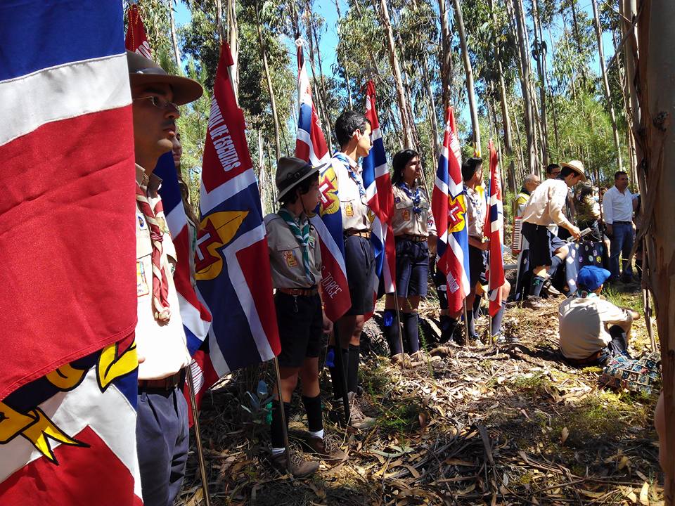  Acampamento reúne centenas de escuteiros em Mortágua - Jornal do Centro