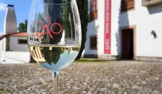  Solar do Dão recebe cursos avançados de vinho em abril - Jornal do Centro