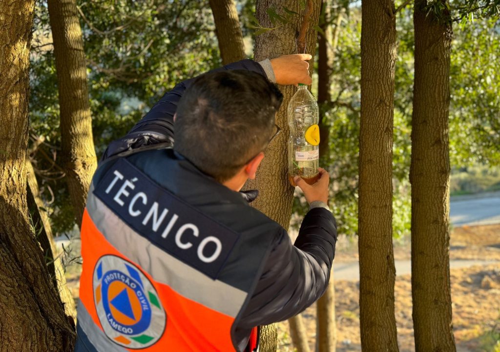  Armadilhas protegem abelhas da vespa asiática em Lamego - Jornal do Centro
