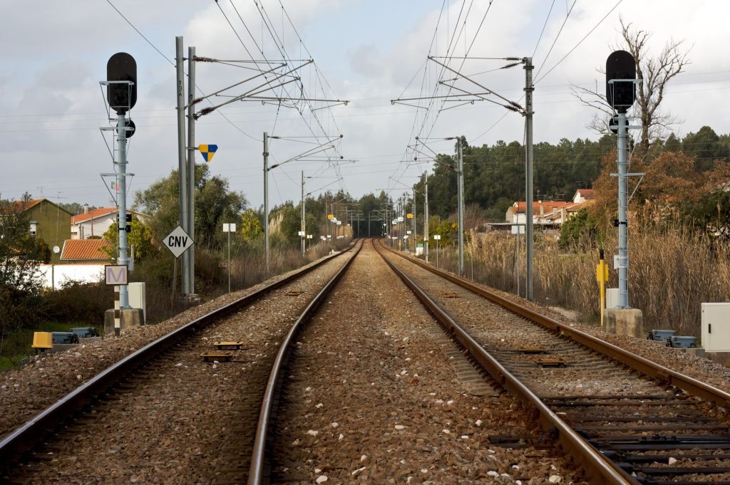  Queda de árvore corta Linha da Beira Alta em Santa Comba Dão - Jornal do Centro