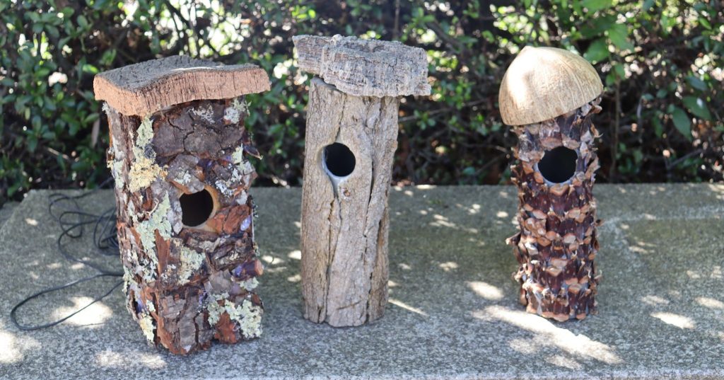  Alunos de Viseu criam ninhos de aves para a Escola Superior de Saúde