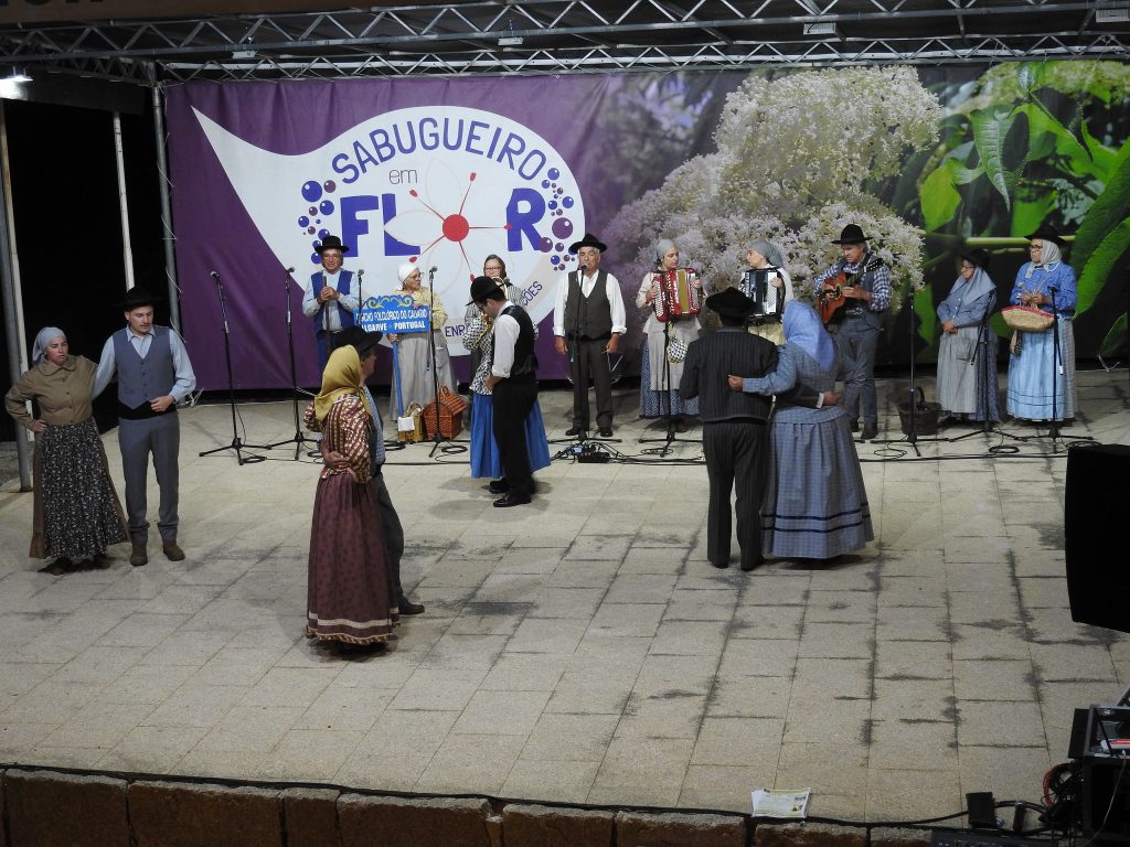  Ranchos de todo o país atuam em festival de folclore de Tarouca - Jornal do Centro