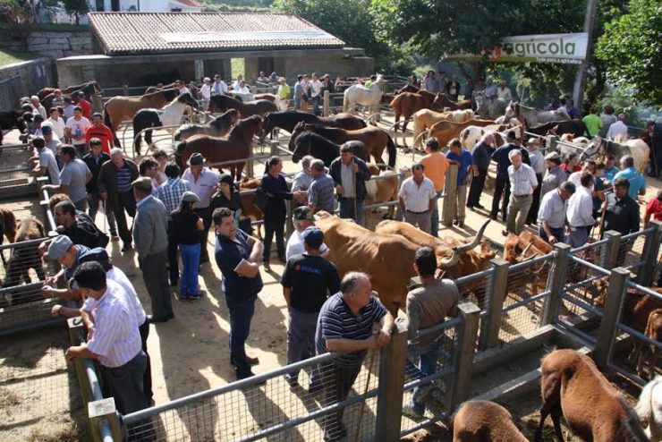  Moimenta da Beira: Feira das Tradições este domingo em Alvite - Jornal do Centro