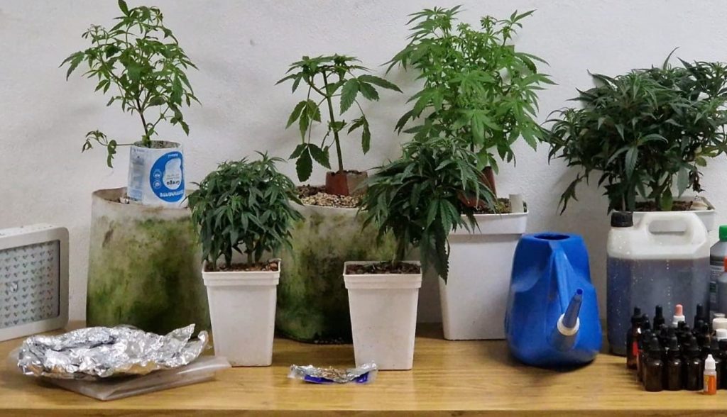  Homem desentende-se com senhorio e acaba detido por tráfico de droga - Jornal do Centro