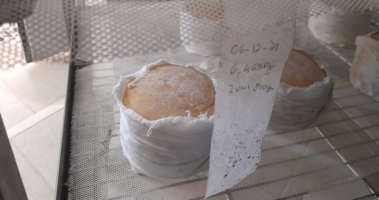  ASAE apreende mais de 250 quilos de queijo em Viseu - Jornal do Centro