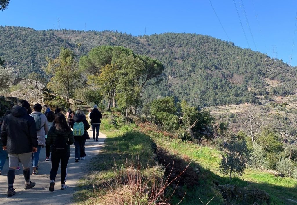  Trabalhos de crianças carenciadas em exposições e espetáculos - Jornal do Centro