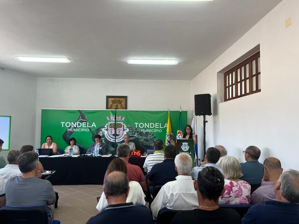 Moção pede ‘obras urgentes’ na ER 230 que liga Tondela e Carregal do Sal - Jornal do Centro