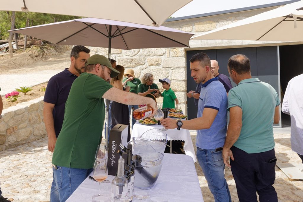  Quinta do Gato em S. Pedro do Sul apresenta novos vinhos - Jornal do Centro
