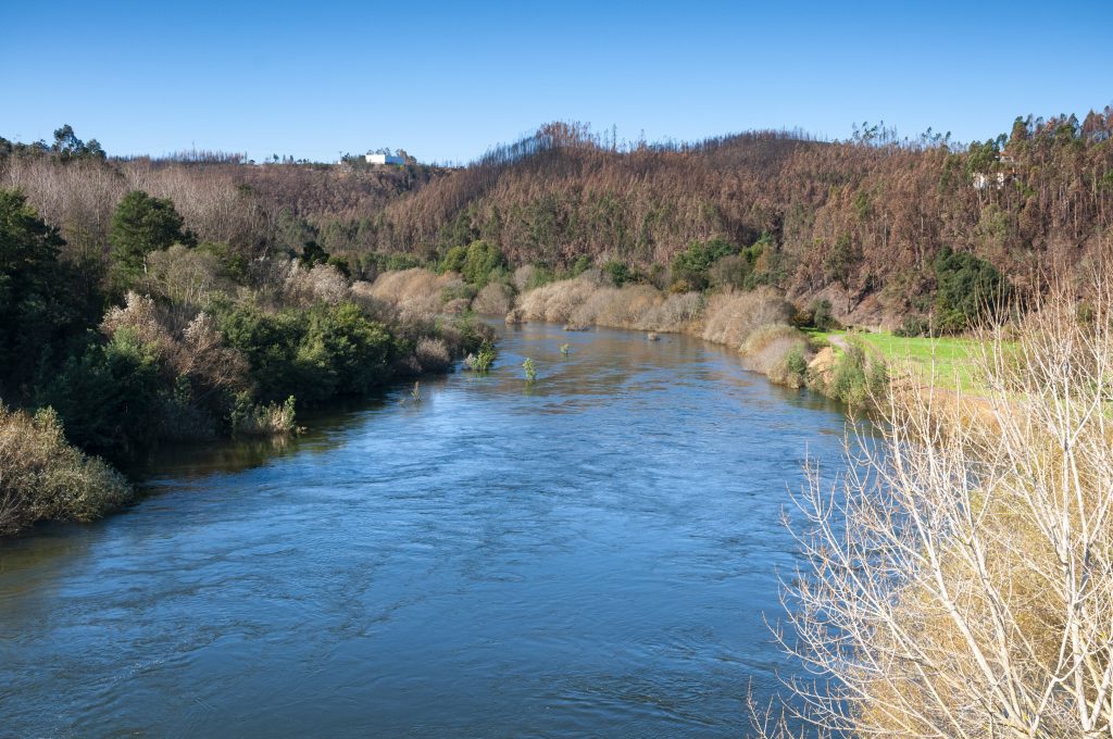  Trilho de 15 quilómetros ao longo do rio em Oliveira de Frades - Jornal do Centro