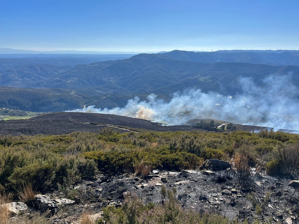  Distrito de Viseu com 121 incêndios rurais nos primeiros seis meses do ano - Jornal do Centro