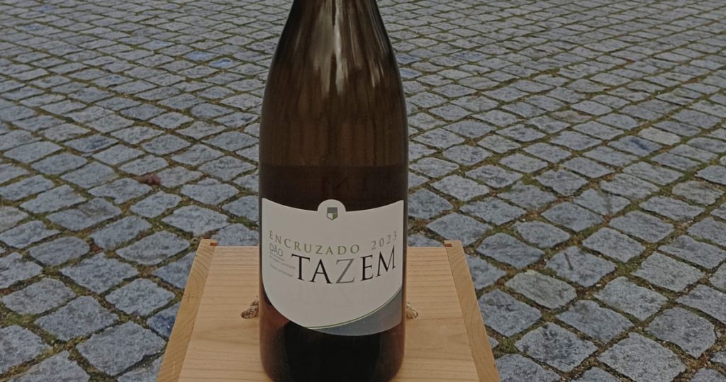  Adega de Vila Nova de Tazem apresenta novo vinho - Jornal do Centro
