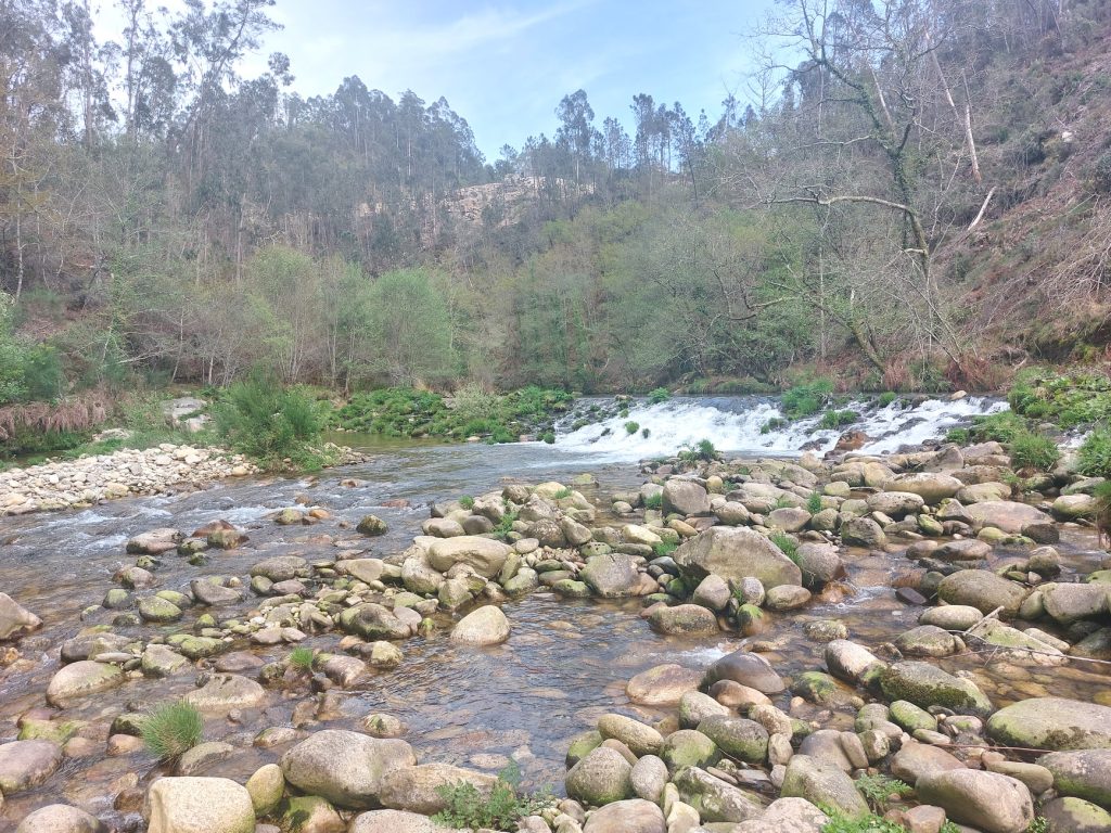  Oliveira de Frades: praia fluvial da Carriça pronta em outubro - Jornal do Centro