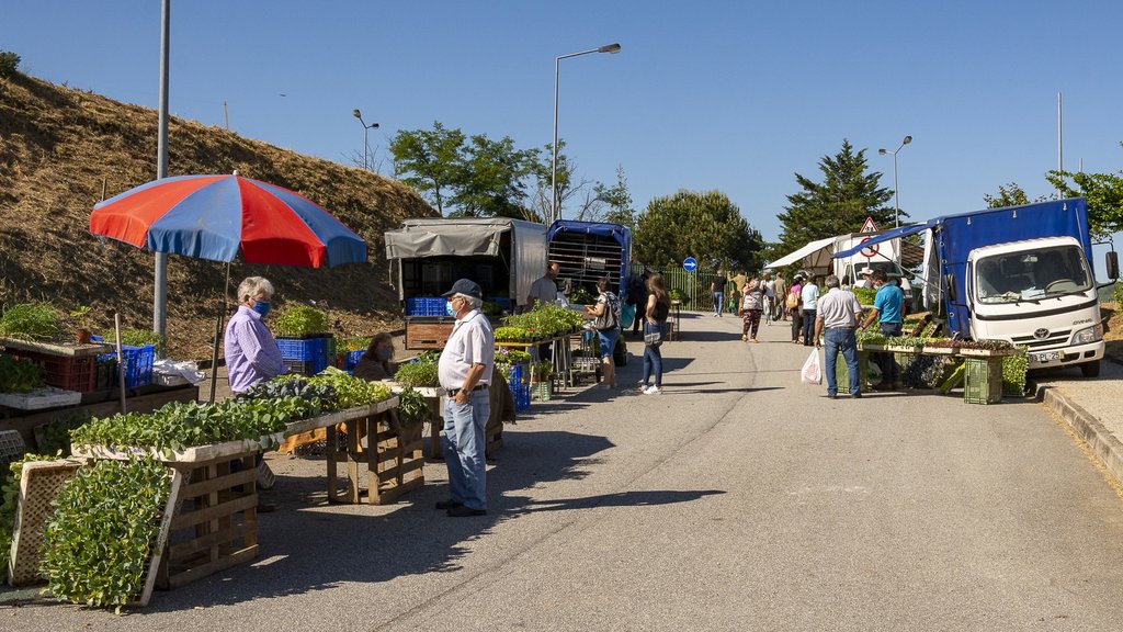  Moimenta da Beira reabre feira quinzenal na próxima segunda-feira - Jornal do Centro