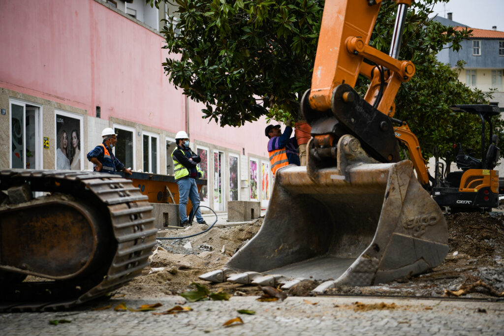  Magnólias do Mercado 2 de Maio vão para o Fontelo até conclusão das obras - Jornal do Centro