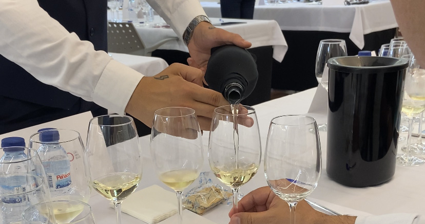  Enólogo Revelação trabalha no Dão e Viseu eleito Destino Gastronómico do Ano - Jornal do Centro