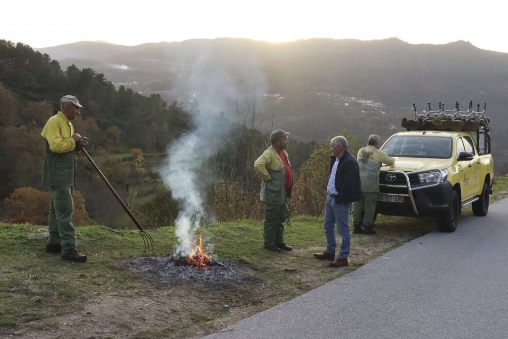  100 hectares de mato limpo em Cinfães - Jornal do Centro