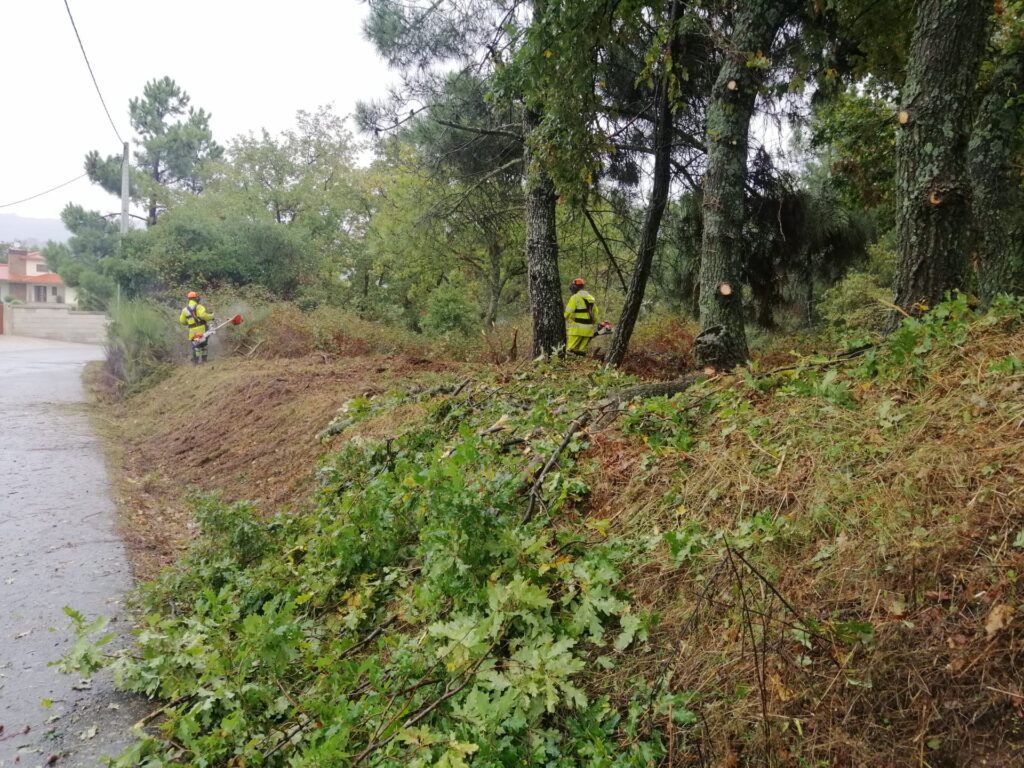  Em Lamego, limpam-se as bermas das estradas - Jornal do Centro