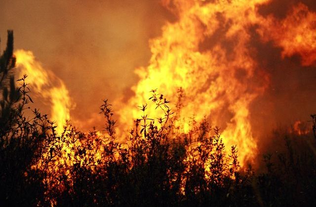  Cinco concelhos do norte do distrito em risco muito elevado de incêndio - Jornal do Centro