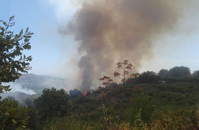  Incêndio atingiu zona de mato em Cinfães - Jornal do Centro