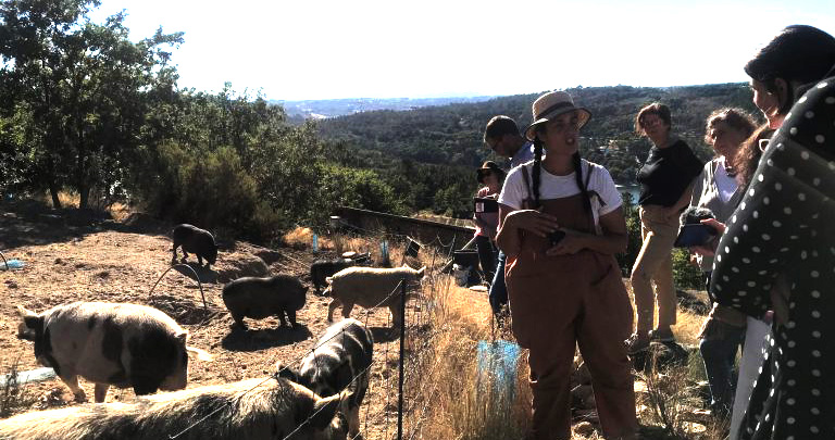  Congresso de Agroecologia junta especialistas no Politécnico de Viseu - Jornal do Centro