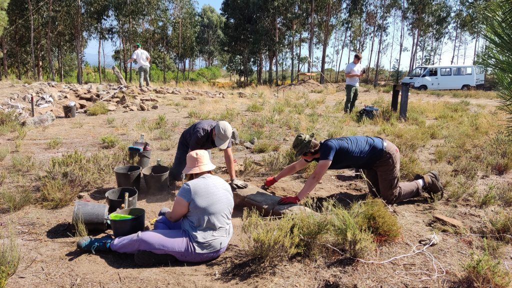  Escavações em Carregal do Sal estudam “Monumento da Víbora”
