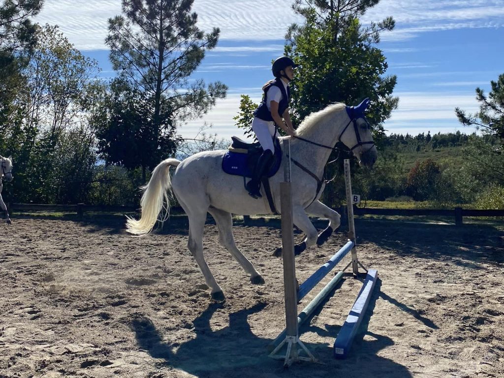  Viseu: Prova nacional de desporto equestre prende a atenção dos apaixonados por cavalos - Jornal do Centro