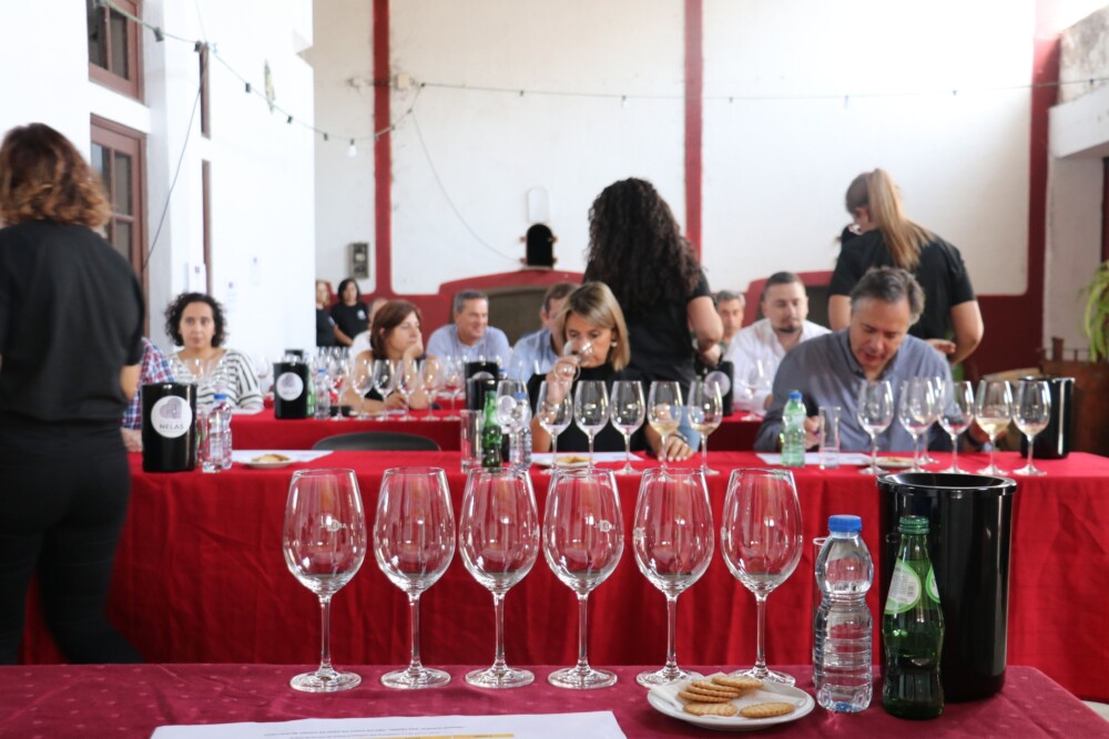  Trinta vinhos à prova no concurso da Feira do Dão em Nelas - Jornal do Centro