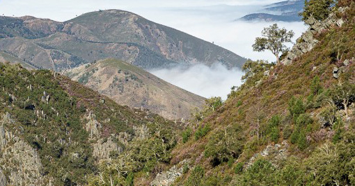  São Pedro do Sul: um destino de encantos naturais e culturais - Jornal do Centro